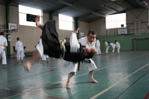 IMG_2296-1024x683